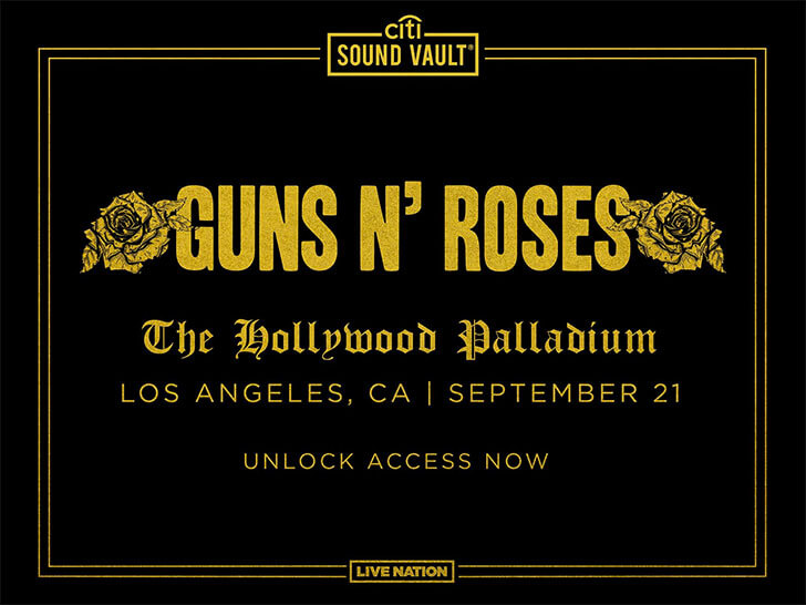 Guns n Roses at The Hollywood Palladium