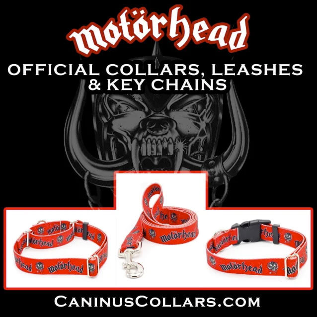 caninus motorhead