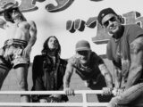 red hot chili peppers