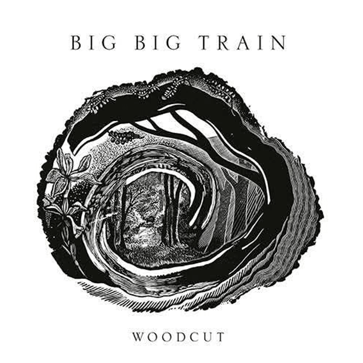 big big train